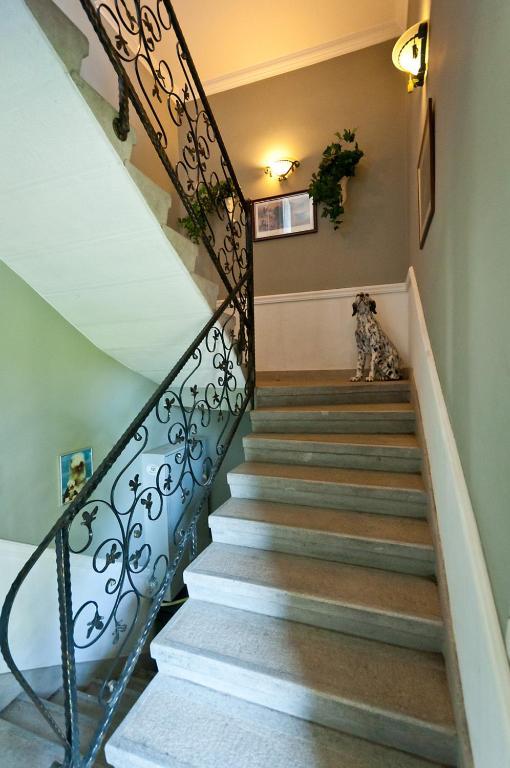 Tamasi House Apartmán Budapešť